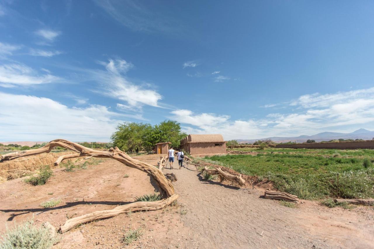 Planeta Atacama Lodge Σαν Πέδρο ντε Ατακάμα Εξωτερικό φωτογραφία